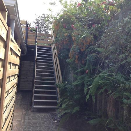 Le Begonia Apartment Ravine Seche Exterior foto